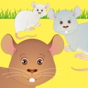Mice Everywhere!