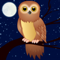 Nighttime Owls