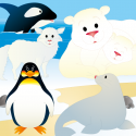 Our Polar Friends 