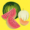 Wonderful Watermelons!