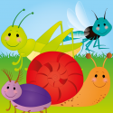 Backyard Bugs